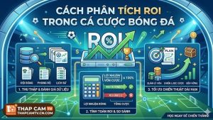 Khái niệm và vai trò của tỷ suất hoàn vốn trong cá độ